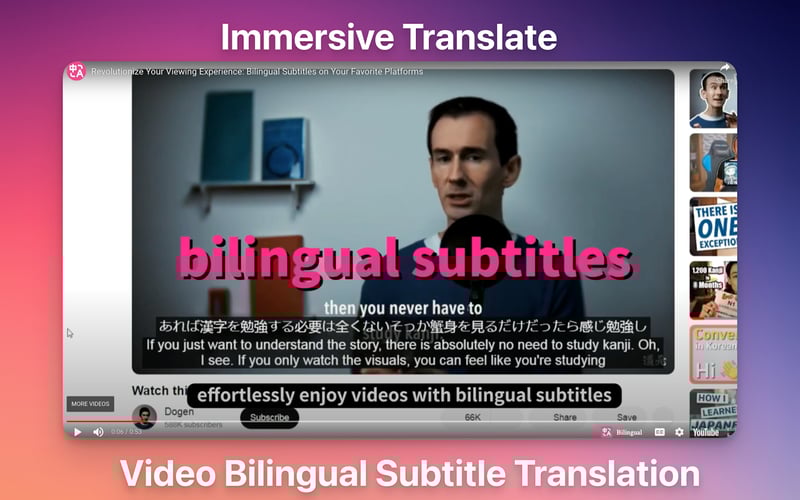 Immersive Translate Bilingual Video screenshot 2