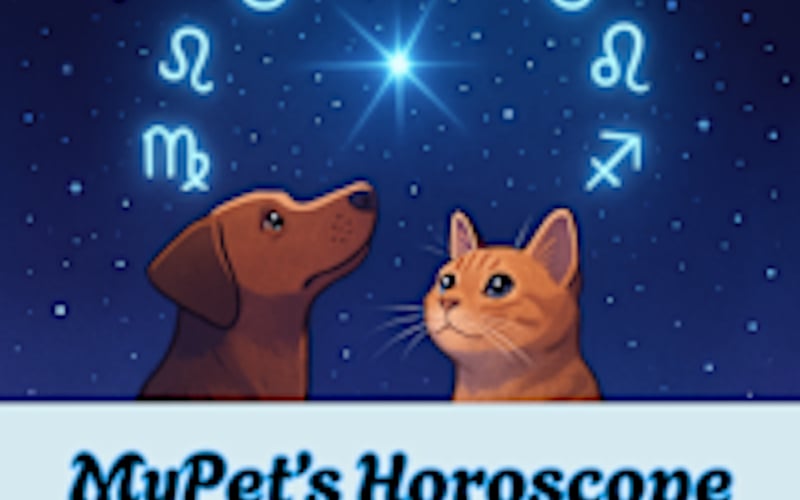 Indiegogo screenshot 1