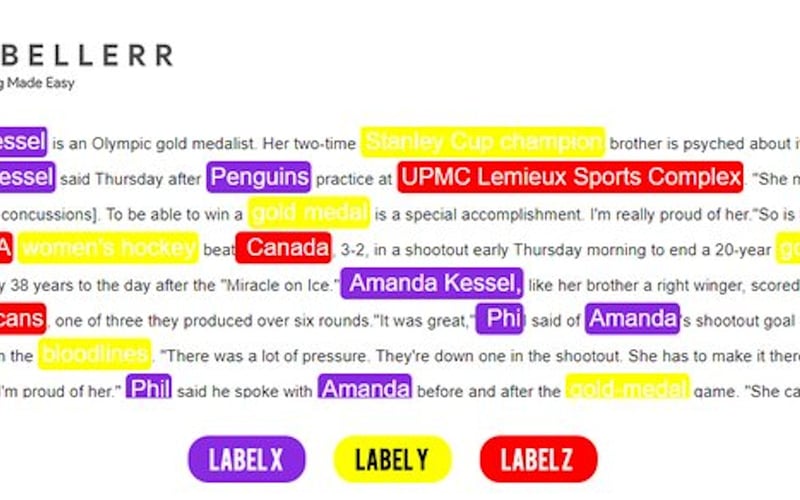 Labellerr screenshot 1