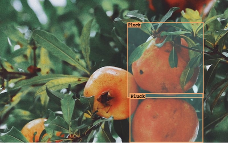 Labellerr screenshot 2