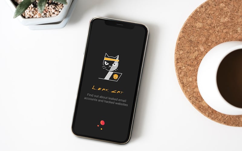 Leakcat screenshot 2