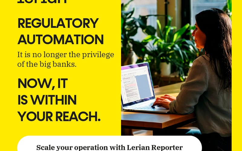 Lerian Midaz screenshot 1