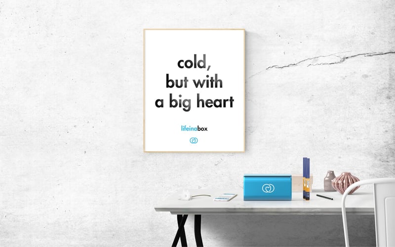 LifeinaBox Portable Fridge screenshot 2