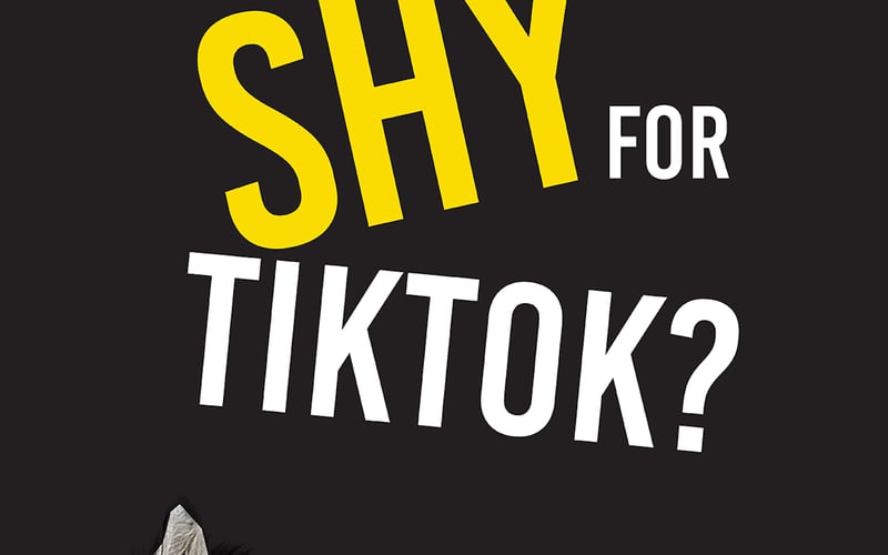 Loops Audio screenshot 2