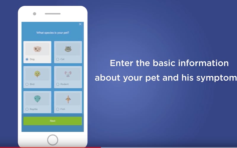 Maeve by Barkibu screenshot 2