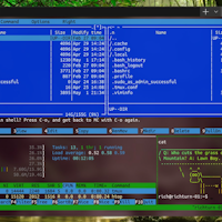 Microsoft Terminal