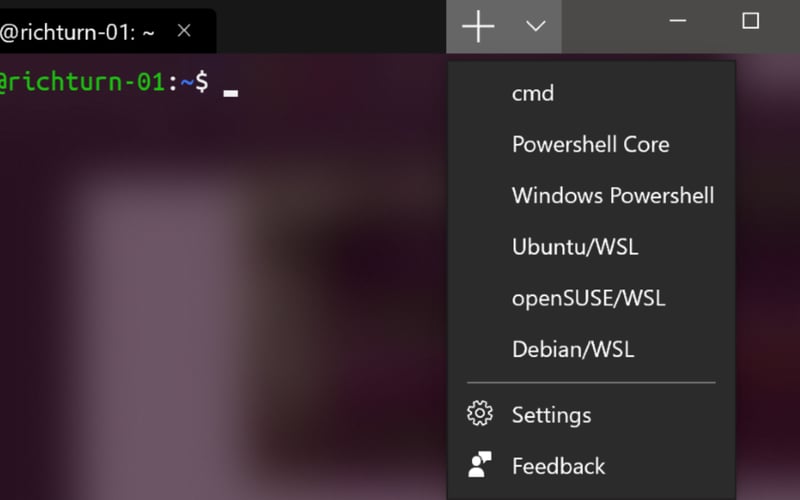 Microsoft Terminal screenshot 2