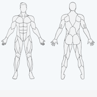 Muscle Wiki