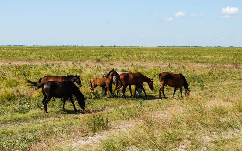 MyStockPhotos screenshot 2