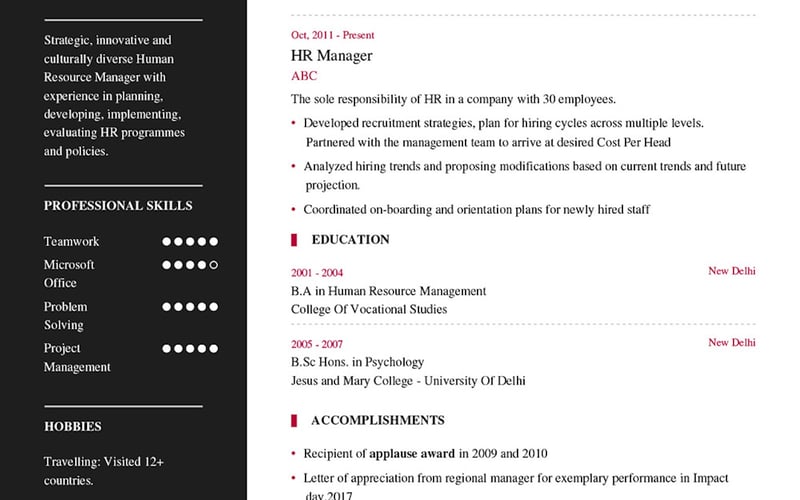 My Resume Format screenshot 2