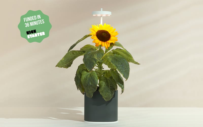 Nano Garden screenshot 1