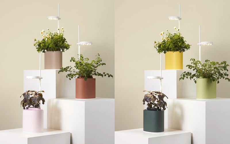 Nano Garden screenshot 2