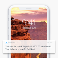 NorthOne Business Banking