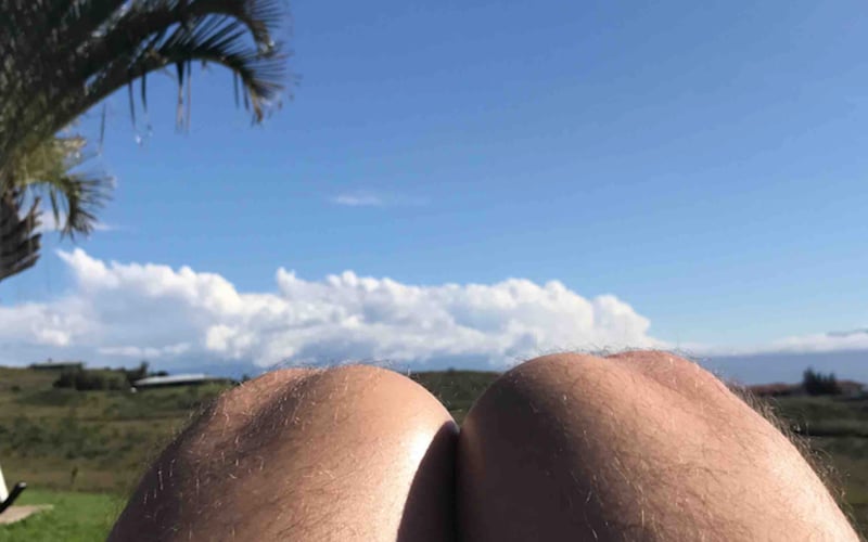 Not Hotdog screenshot 1