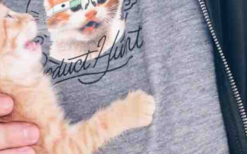 Not Hotdog screenshot 2