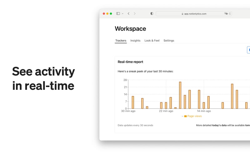 Notionlytics screenshot 2