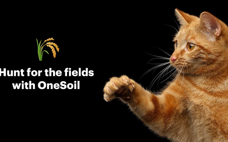 OneSoil screenshot 1