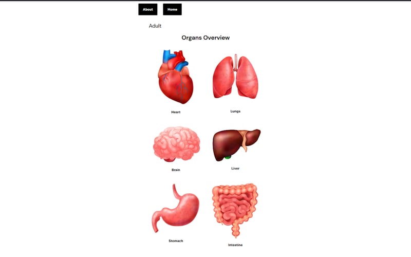 OrganWise screenshot 2