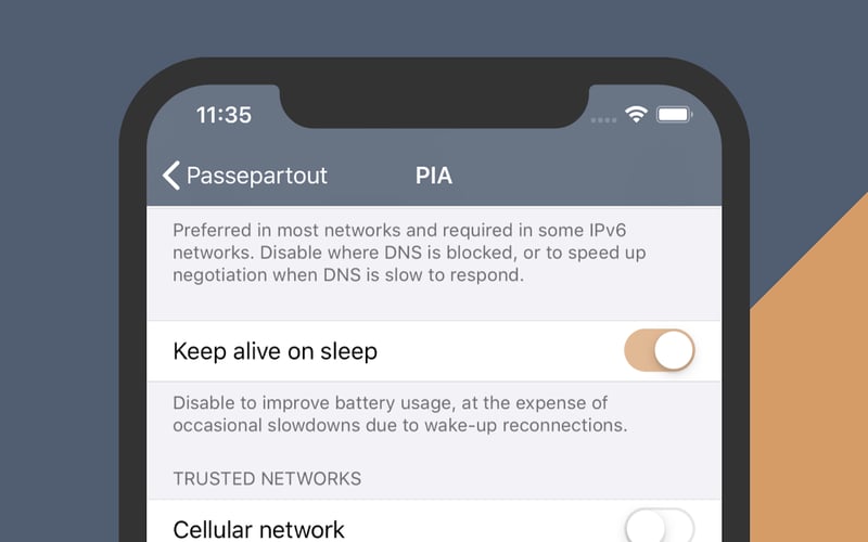Passepartout VPN screenshot 2