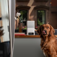 Petcube Bites 2 Lite