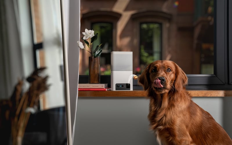 Petcube Bites 2 Lite screenshot 1