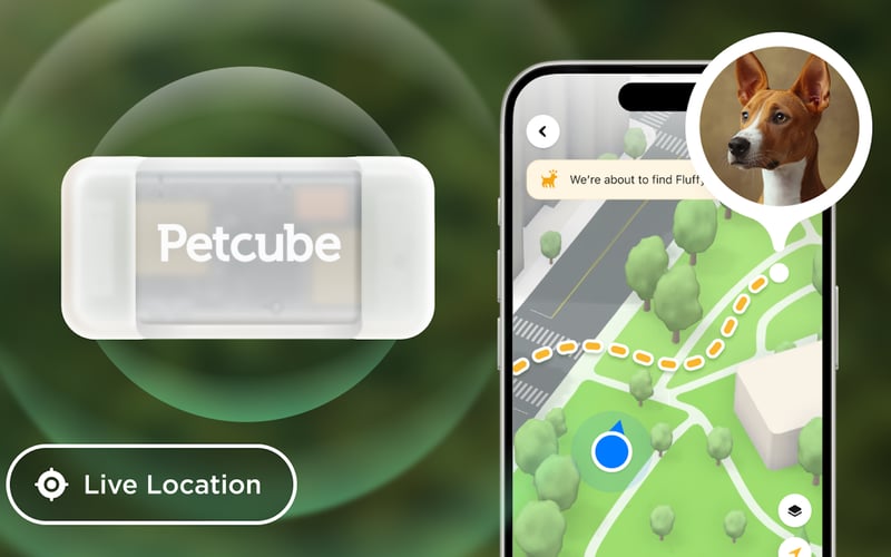 Petcube🐾 screenshot 1
