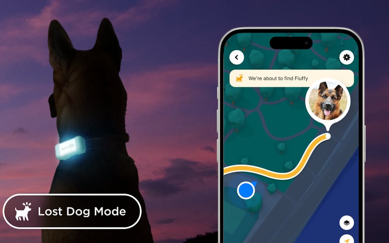 Petcube🐾 screenshot 2