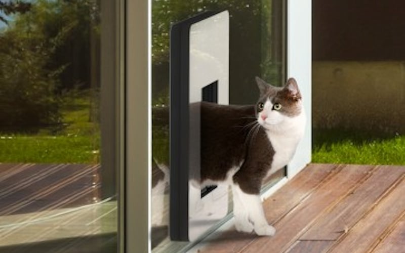 Petwalk screenshot 1