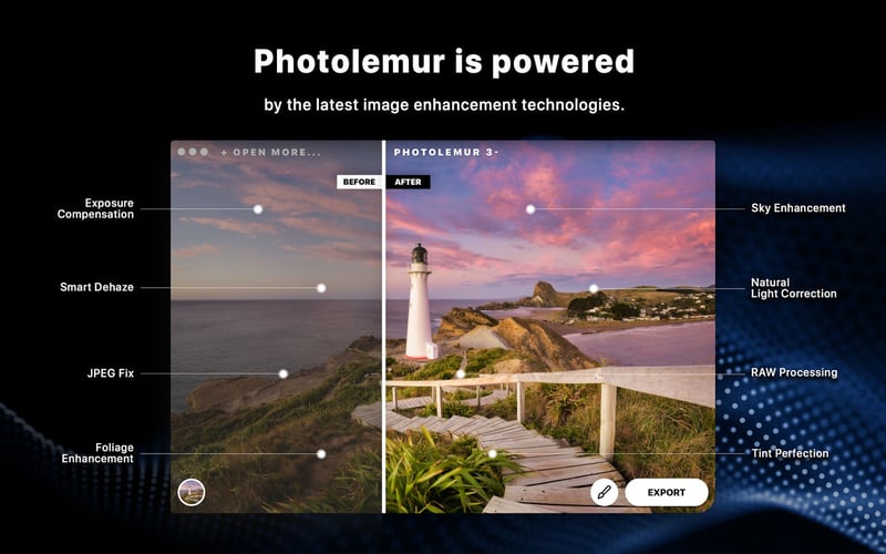 Photolemur 3.0 screenshot 1