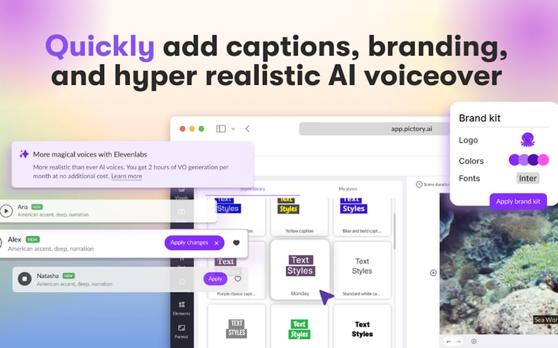 Pictory screenshot 3