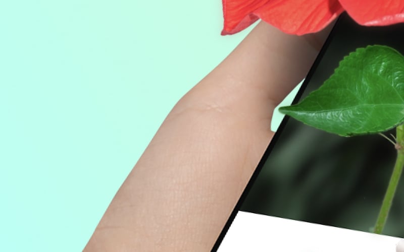 PictureThis screenshot 1