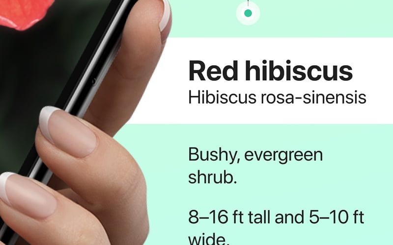 PictureThis screenshot 2