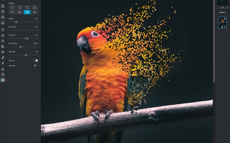 Pixlr X screenshot 2