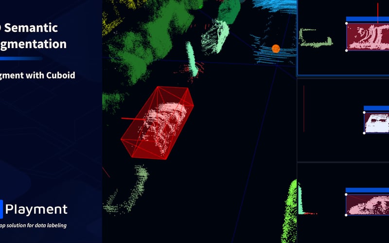 Playment screenshot 2