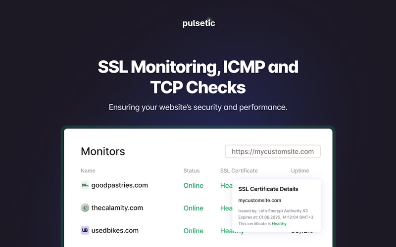 Pulsetic screenshot 2