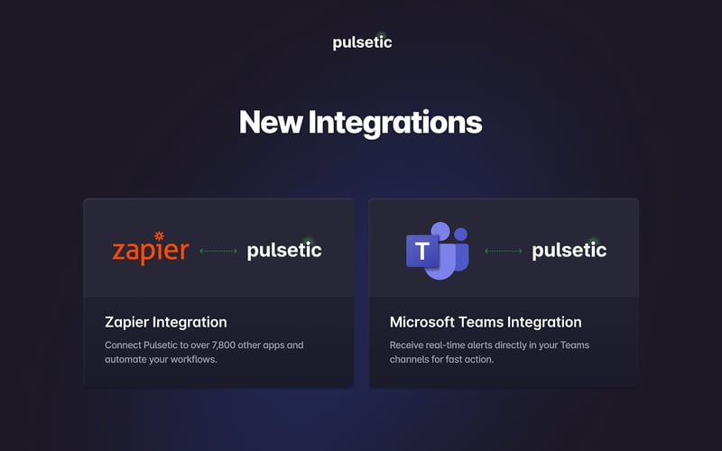 Pulsetic screenshot 3