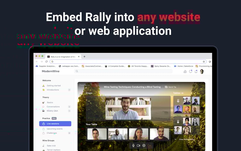 Rally.video screenshot 1
