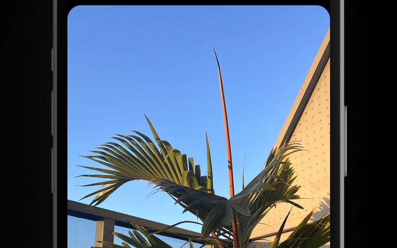 Realify screenshot 2