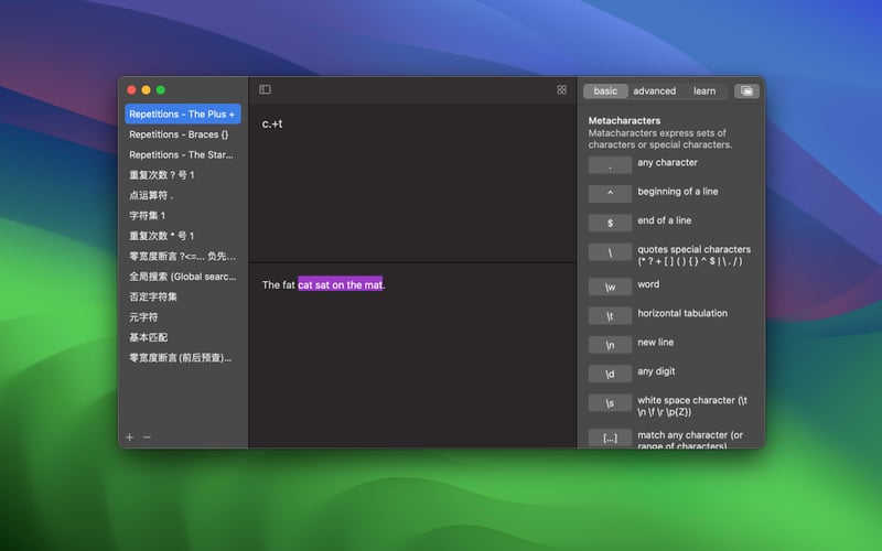 RegexMate screenshot 1