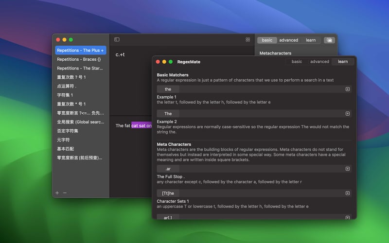 RegexMate screenshot 2