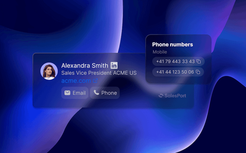 SalesPort screenshot 1