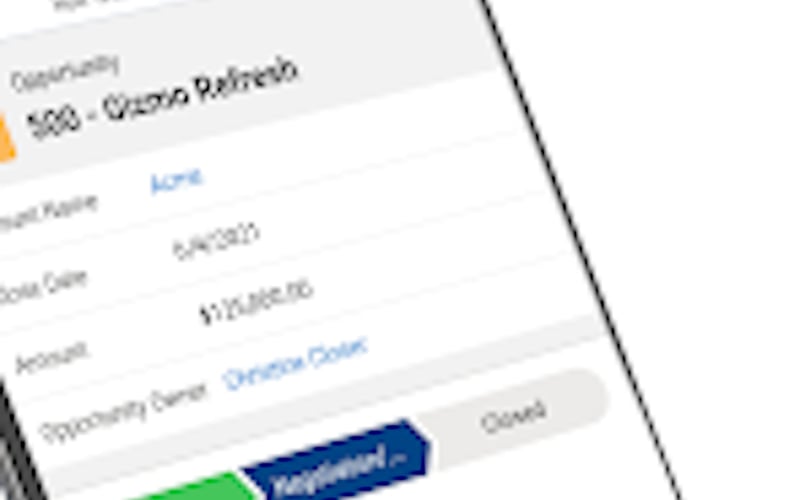 Salesforce.com screenshot 3