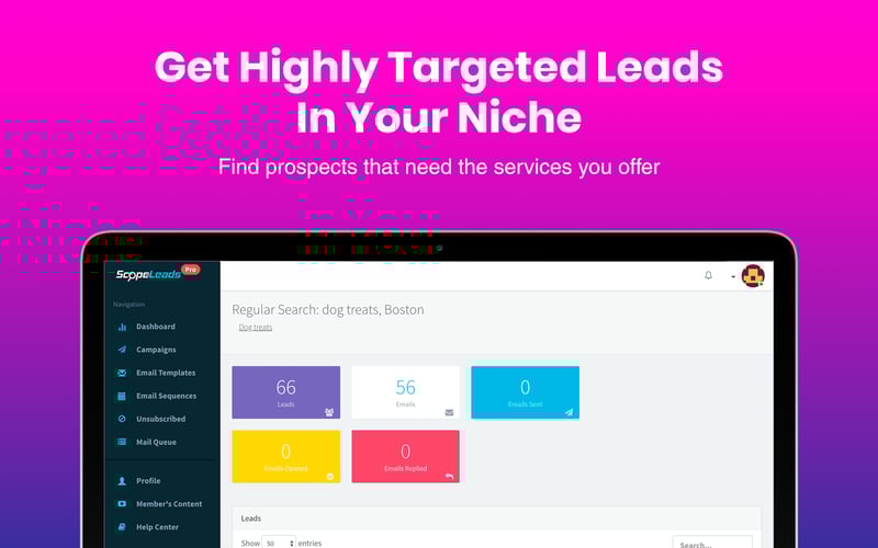 ScopeLeads screenshot 2