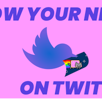 Show my NFT on Twitter