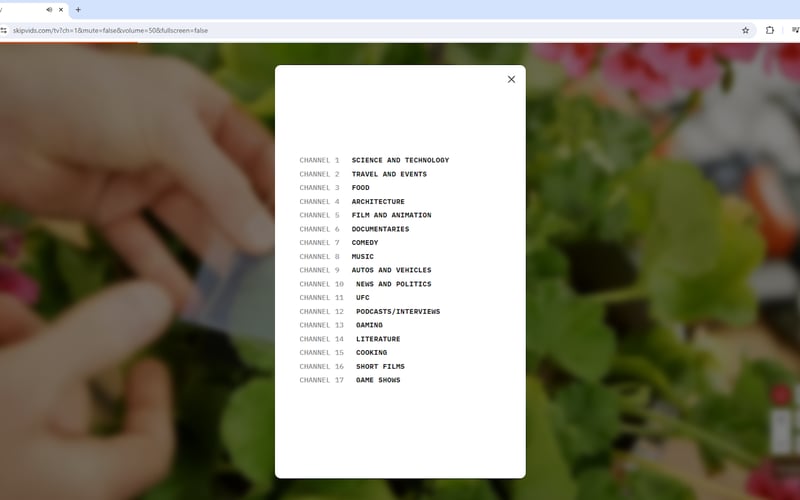 SkipVids.com - Skip The F**KING Ads! screenshot 2