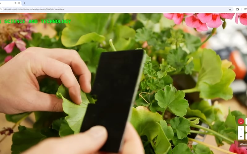 SkipVids.com - Skip The F**KING Ads! screenshot 3