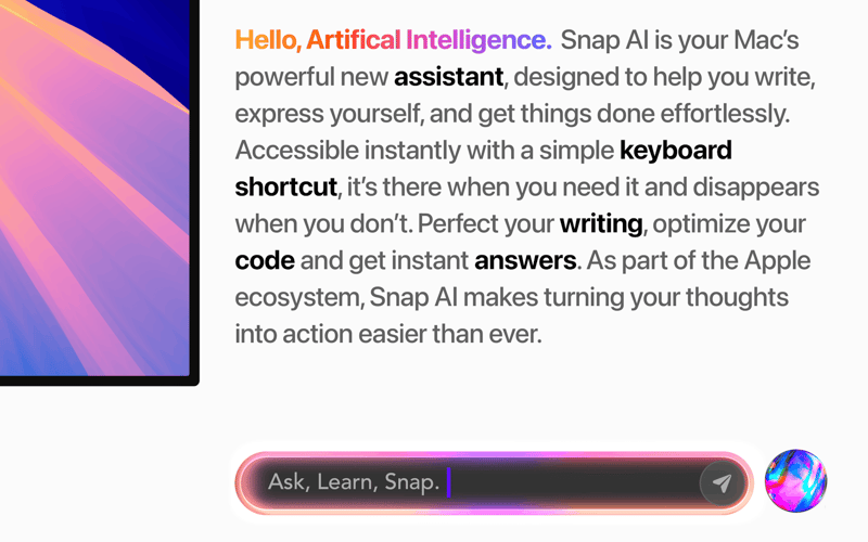 Snap AI screenshot 2