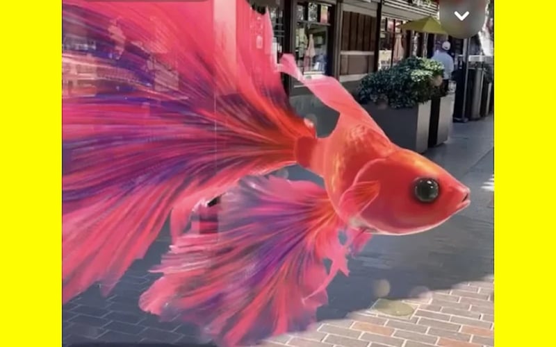 Snapchat screenshot 3