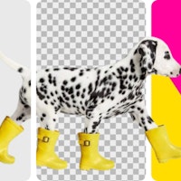 SocialBook Background Remover and Editor