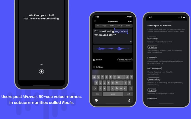 Soundwave screenshot 2
